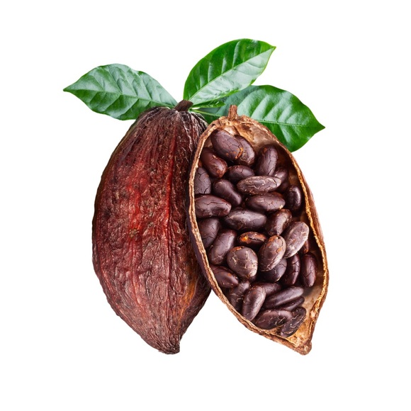 100% Pure Jamaican Black Castor Oil with coconut oil and cocoa extract. - Picture 5 of 12